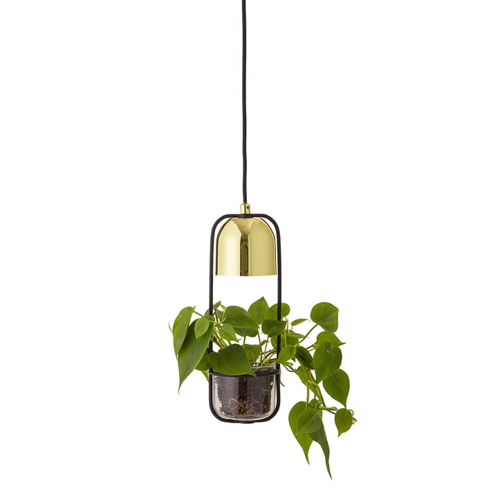 Bloomingville ceiling 灯 with hanging basket Ø10 cm - clear-gold - Bloomingville