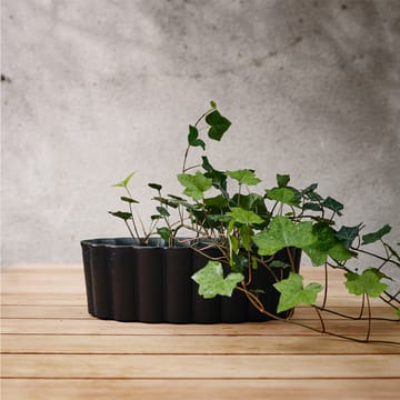 Palissad plant pot - 黑色 - Byarums bruk