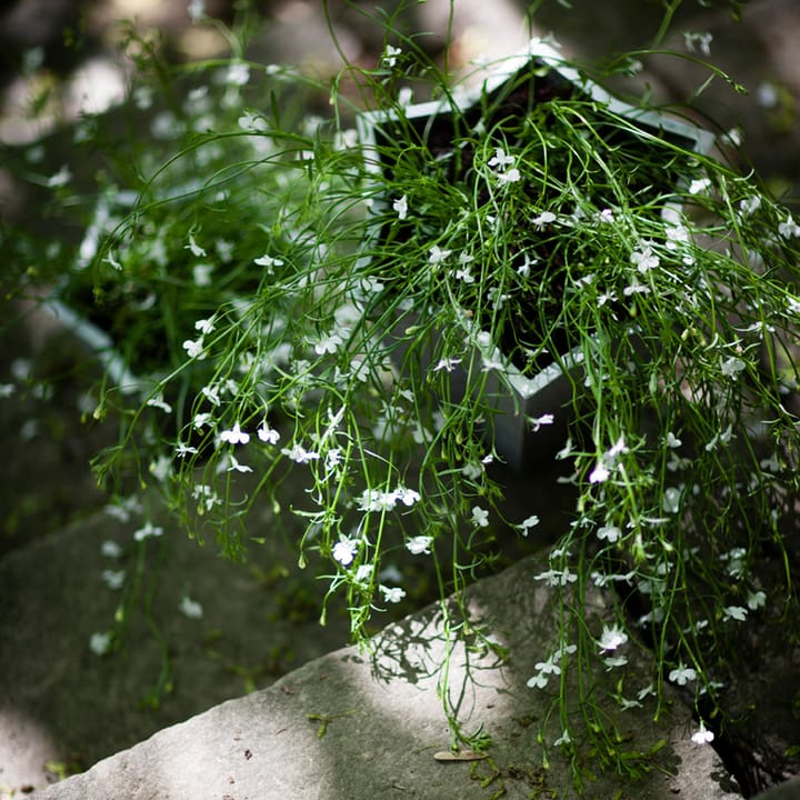 Stjärnkruka pot pot - Aluminum, high Ø30 cm - Byarums bruk