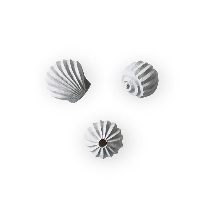 The Genesis Shells sculpture 三件套装 - Limestone - Cooee Design