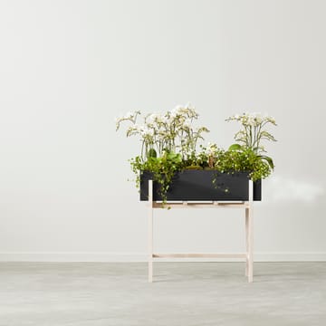 Botanic flower stand - 黑色-ash - Design House Stockholm