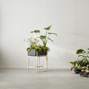 Botanic flower stand - 黑色-ash - Design House Stockholm