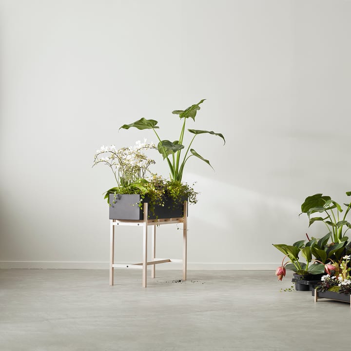 Botanic flower stand, 黑色-ash Design House Stockholm