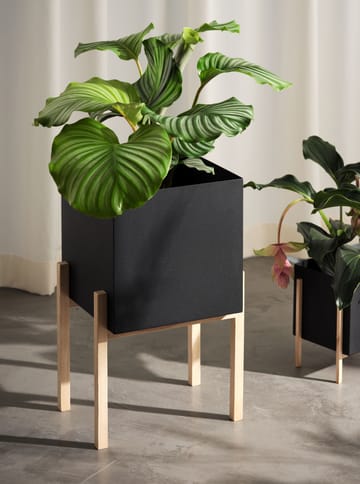 Botanic pedestal flower pot - 黑色-box - Design House Stockholm