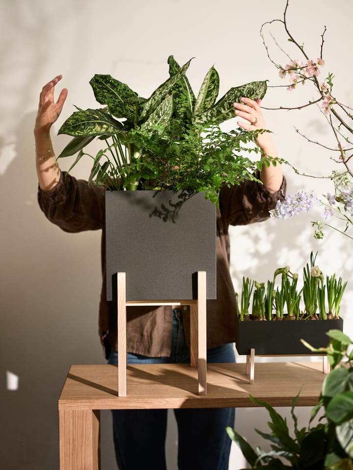 Botanic pedestal flower pot, 黑色-box Design House Stockholm