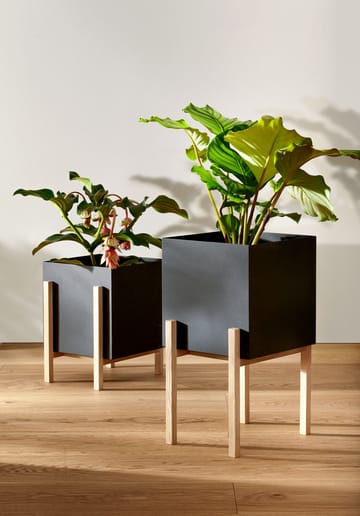 Botanic pedestal flower pot - 黑色-box - Design House Stockholm