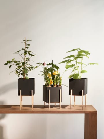 Botanic pedestal flower pot - 黑色-box - Design House Stockholm