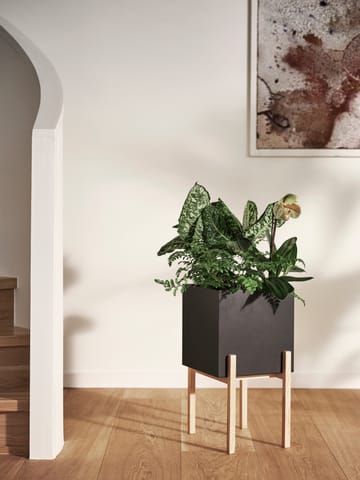 Botanic pedestal flower pot - 黑色-box - Design House Stockholm