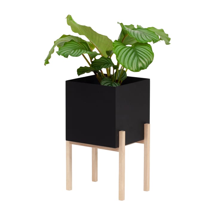 Botanic pedestal flower pot - 黑色-box - Design House Stockholm