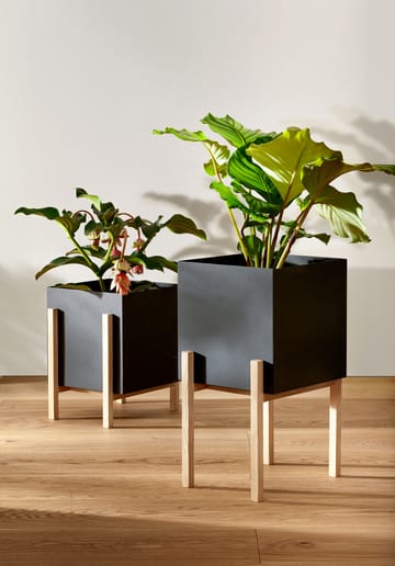 Botanic pot flower pot - 黑色-box - Design House Stockholm