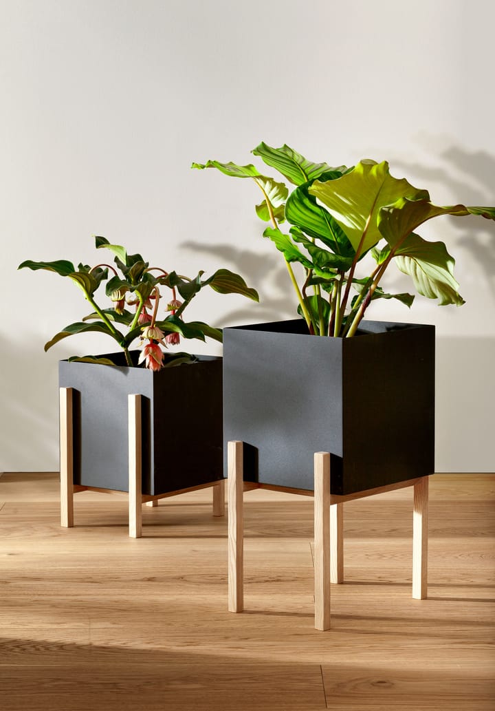 Botanic pot flower pot, 黑色-box Design House Stockholm