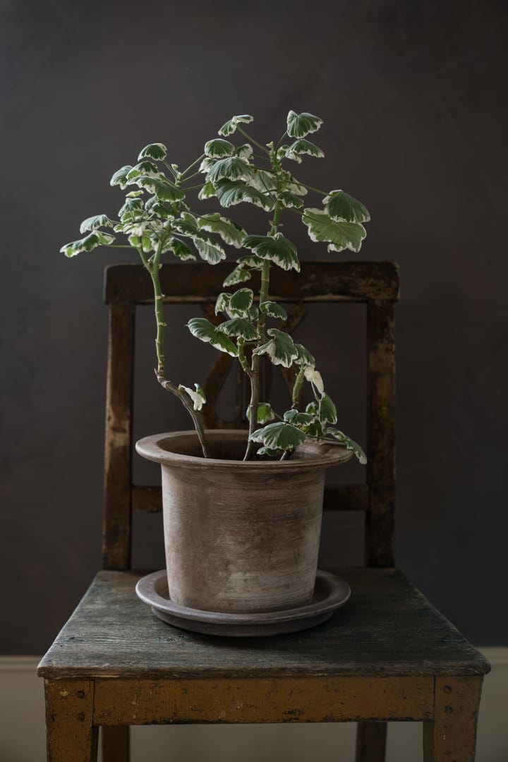 Ernst terracotta pot with 碟子, Ø24 cm ERNST