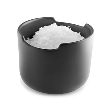 Nordic Kitchen salt jar with lid - 黑色 - Eva Solo