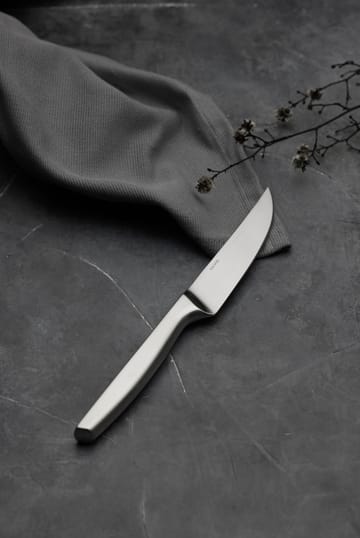 Norm grill knife 四件套装 - Matte 不锈钢 - Gense