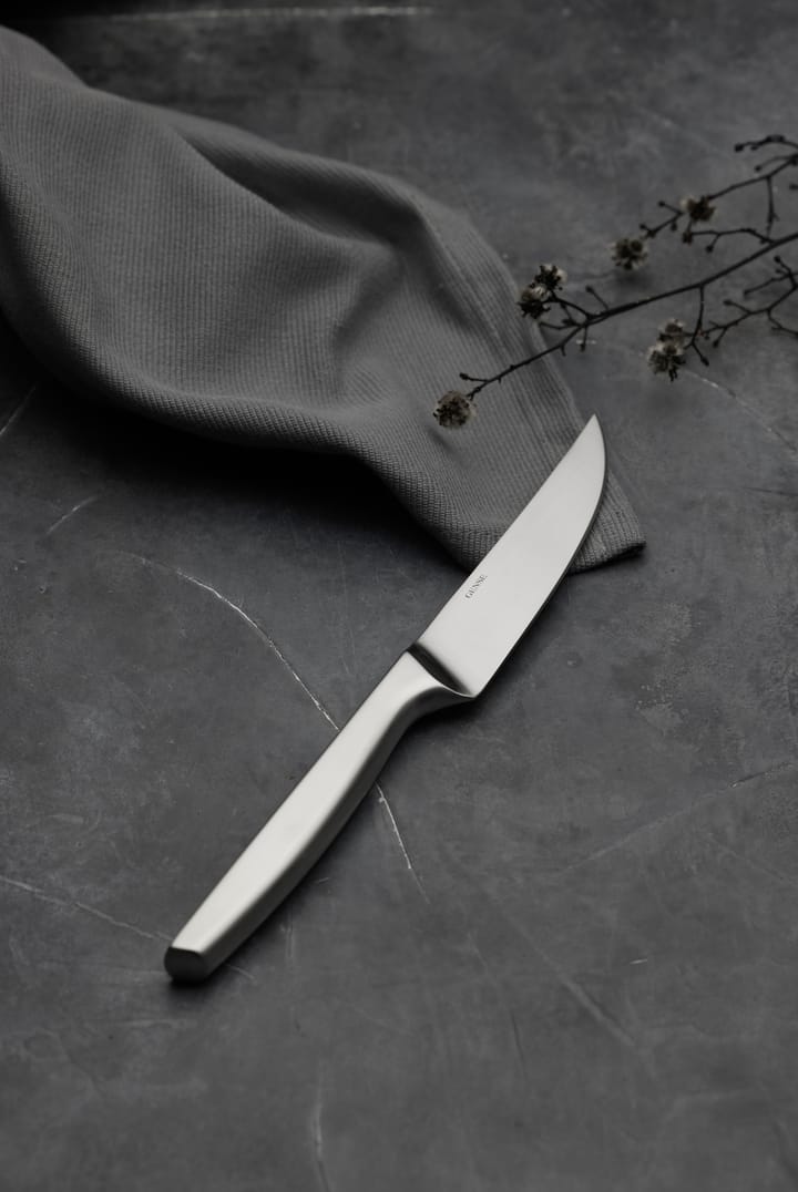 Norm grill knife 四件套装, Matte 不锈钢 Gense