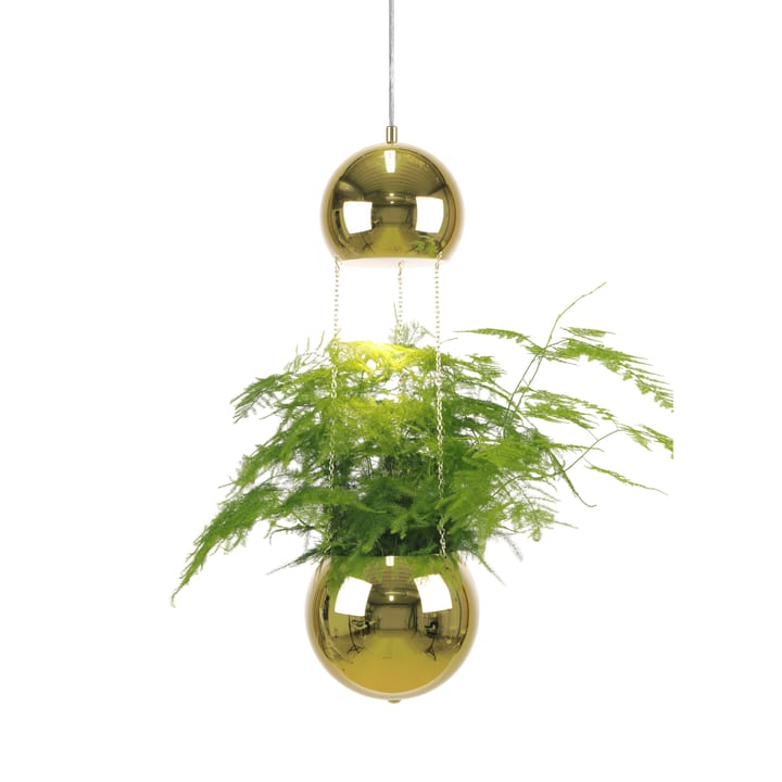 Planter ceiling 灯 with flower pot - brass - Globen Lighting