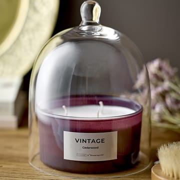 Vintage Cedarwood scented candle - 250 g - Illume x Bloomingville