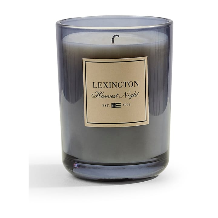 Harvest Night scented candle, Dark 灰色 Lexington