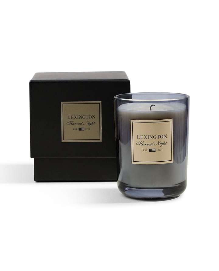 Harvest Night scented candle, Dark 灰色 Lexington