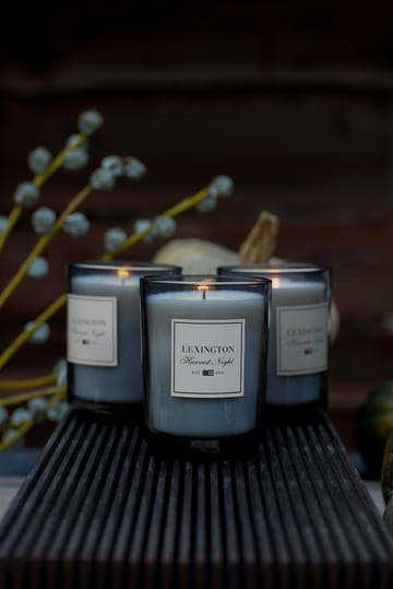 Harvest Night scented candle - Dark 灰色 - Lexington