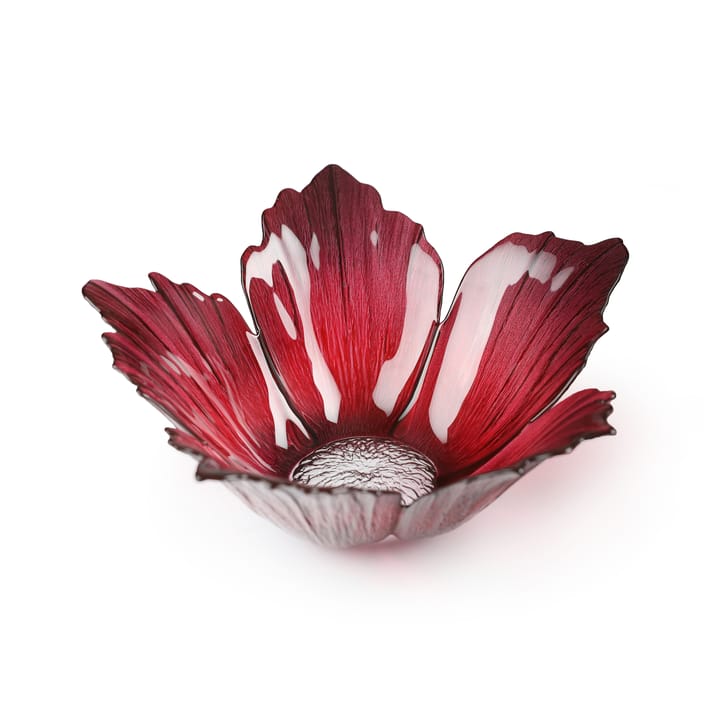 Fleur glass 碗  red pink - large Ø23 cm - Målerås Glasbruk