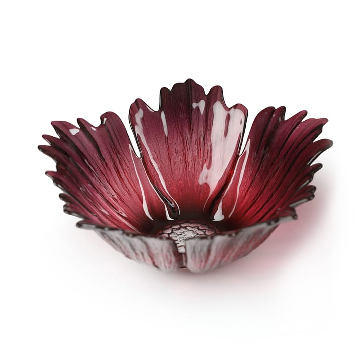 Fleur glass 碗  red pink - small Ø19 cm - Målerås Glasbruk
