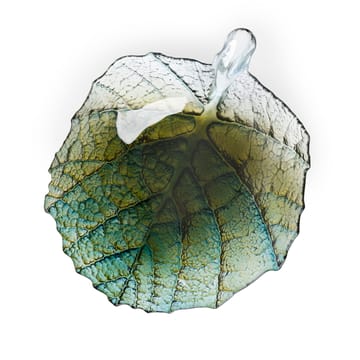 Folia 碗  large - Forest 绿色 - Målerås Glasbruk