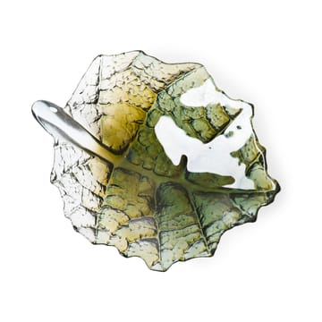 Folia �碗  medium - Forest 绿色 - Målerås Glasbruk