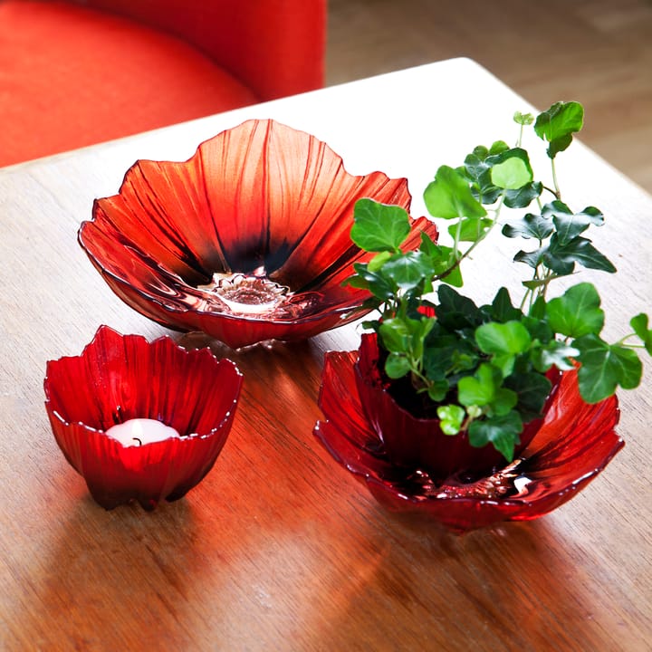 Poppy 碗  large - 红色-黑色 - Målerås Glasbruk