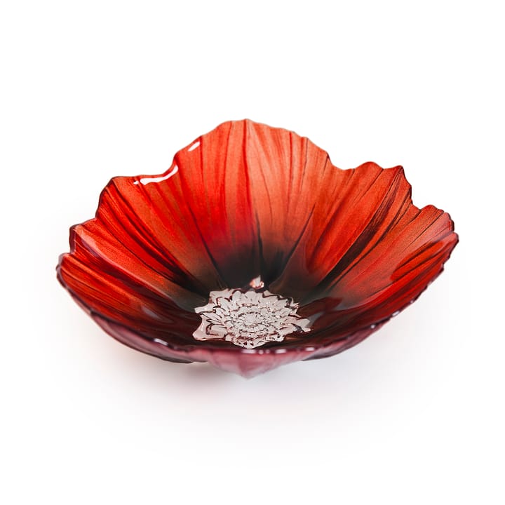 Poppy 碗  medium - 红色-黑色 - Målerås Glasbruk