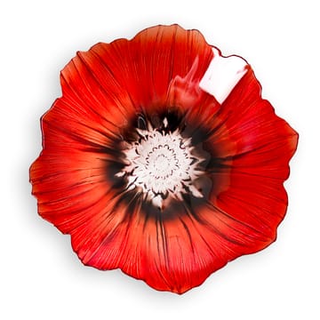 Poppy 碗  medium - 红色-黑色 - Målerås Glasbruk