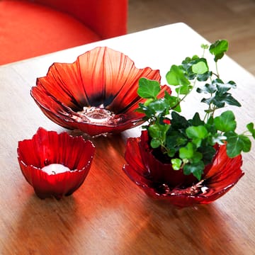 Poppy 碗  medium - 红色-黑色 - Målerås Glasbruk