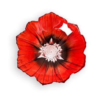 Poppy 碗  small - 红色-黑色 - Målerås Glasbruk