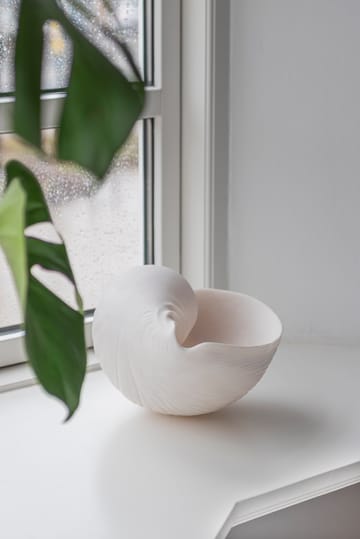 Conch decorative shell - 大 - Mette Ditmer