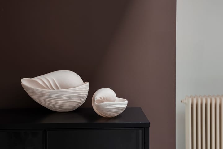 Conch decorative shell - 小 - Mette Ditmer