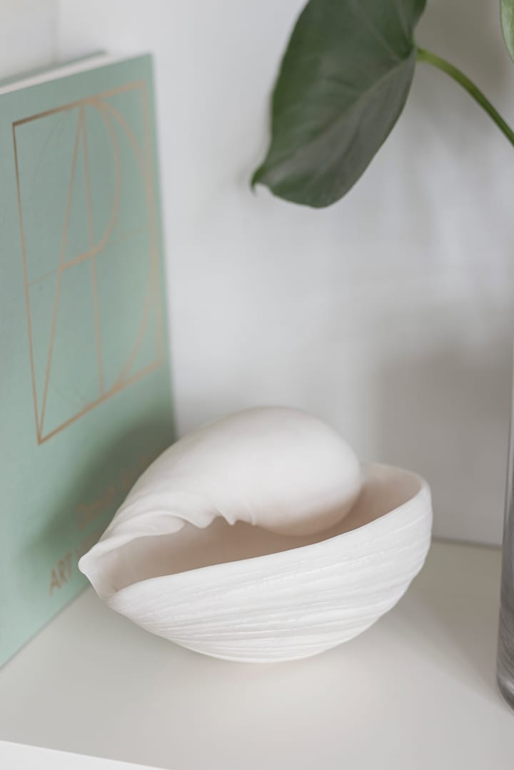 Conch decorative shell - 小 - Mette Ditmer