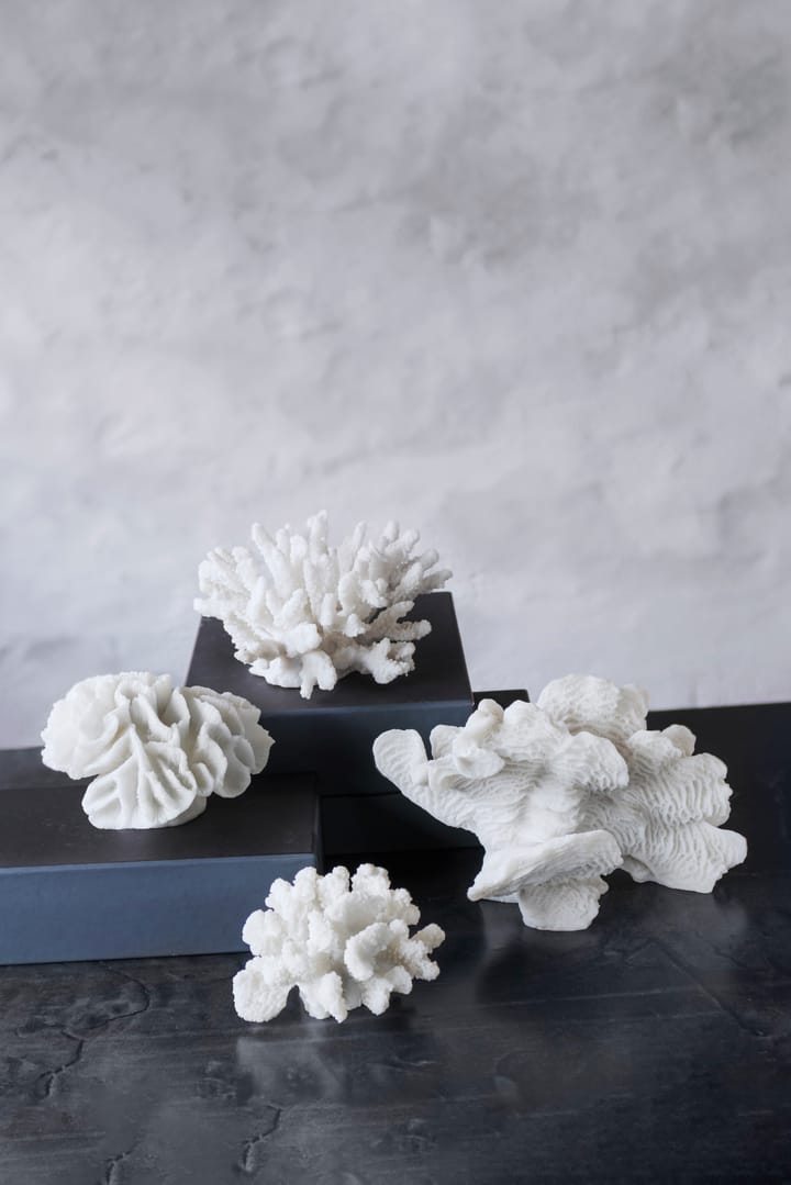 Coral fan - 白色 - Mette Ditmer
