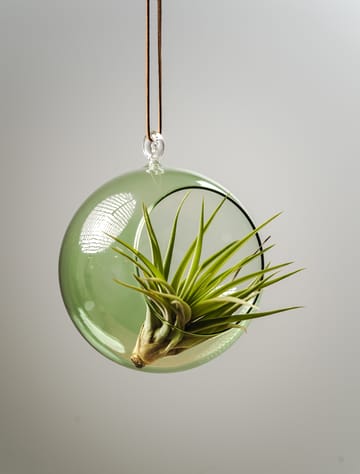 Muurla decorative hanging ball Ø12 cm - 绿色 - Muurla