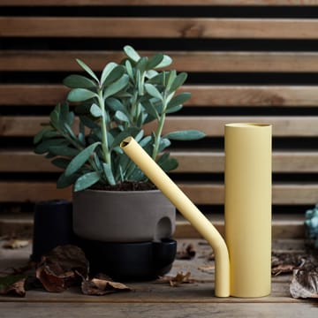 Grab watering can - 黄色 - Northern