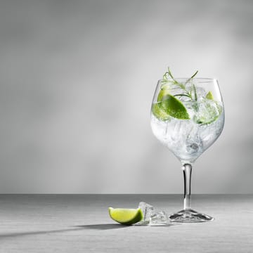 More Gin & Tonic glass 四件套装 - 64 cl - Orrefors