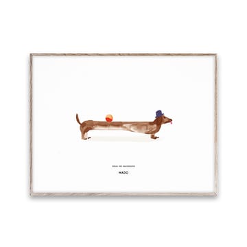 Doug the Dachshund 海报 - 30x40 cm - Paper Collective