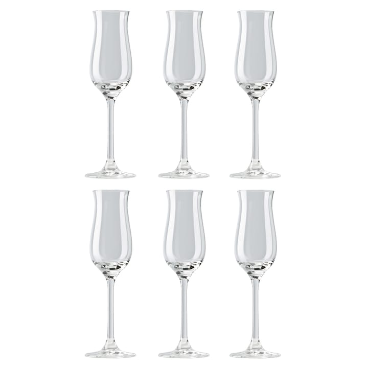 DiVino grappa glass 10 cl 六件套装 - clear - Rosenthal