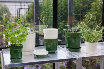 Elise herb pot Ø11 cm - 白色 - Sagaform