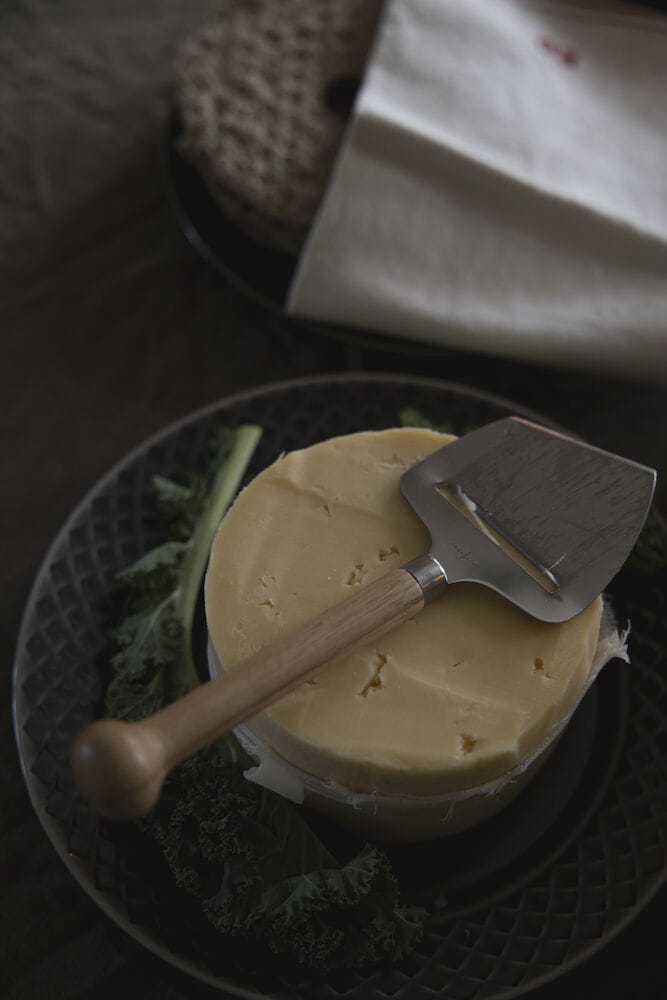 Nature cheese slicer - 自然木色 - Sagaform