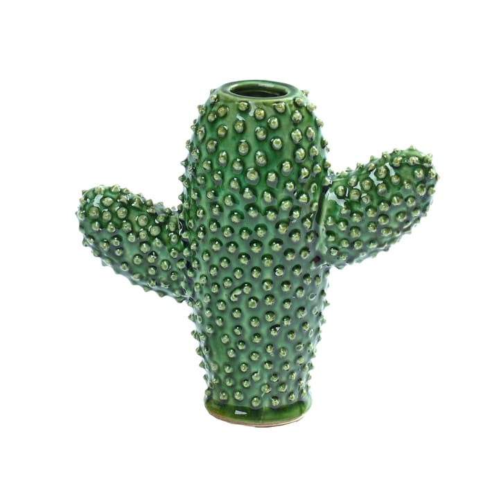 Serax cactus  花瓶  - small - Serax