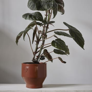 Edge pot (indoor) 15 cm - burned 红色 - Skagerak