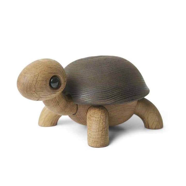 Slowy tortoise 装饰 - Oak-ash - Spring Copenhagen