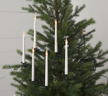SlimLine Christmas tree lighting 25 灯 - 白色 - Star Trading