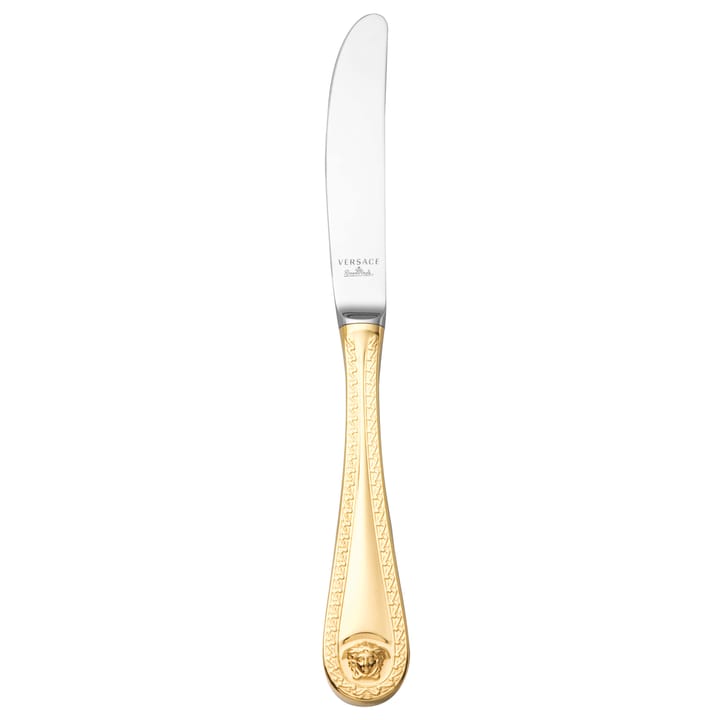 Versace Medusa knife gold 盘子d - 22.5 cm - Versace