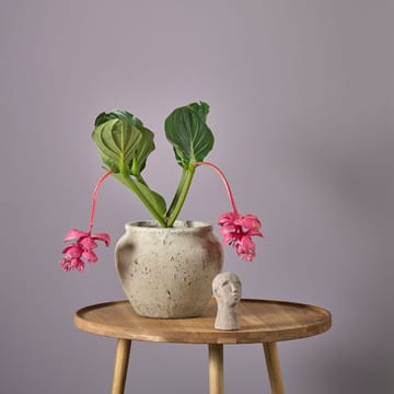 Loev flower pot - 灰色 - medium - Villa Collection